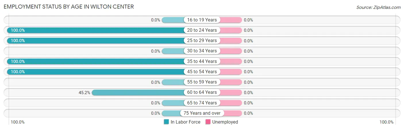 Employment Status by Age in Wilton Center
