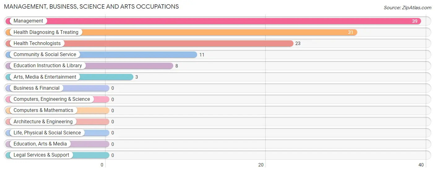 Management, Business, Science and Arts Occupations in Witt