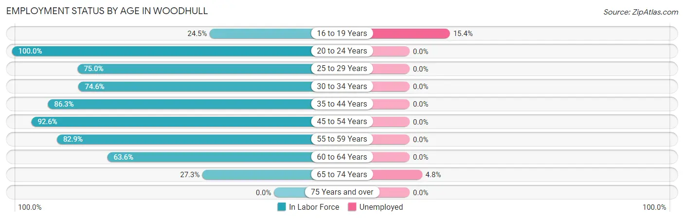 Employment Status by Age in Woodhull