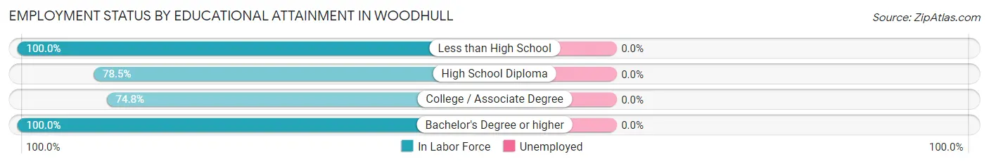 Employment Status by Educational Attainment in Woodhull