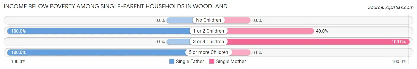 Income Below Poverty Among Single-Parent Households in Woodland