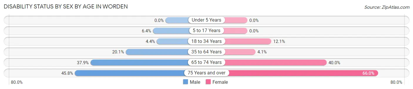 Disability Status by Sex by Age in Worden
