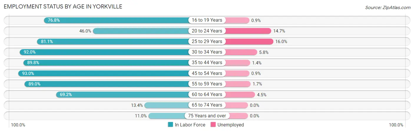 Employment Status by Age in Yorkville