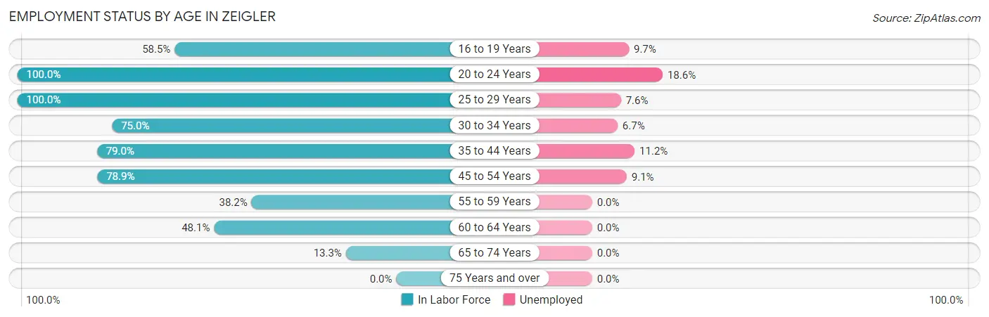 Employment Status by Age in Zeigler