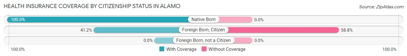Health Insurance Coverage by Citizenship Status in Alamo