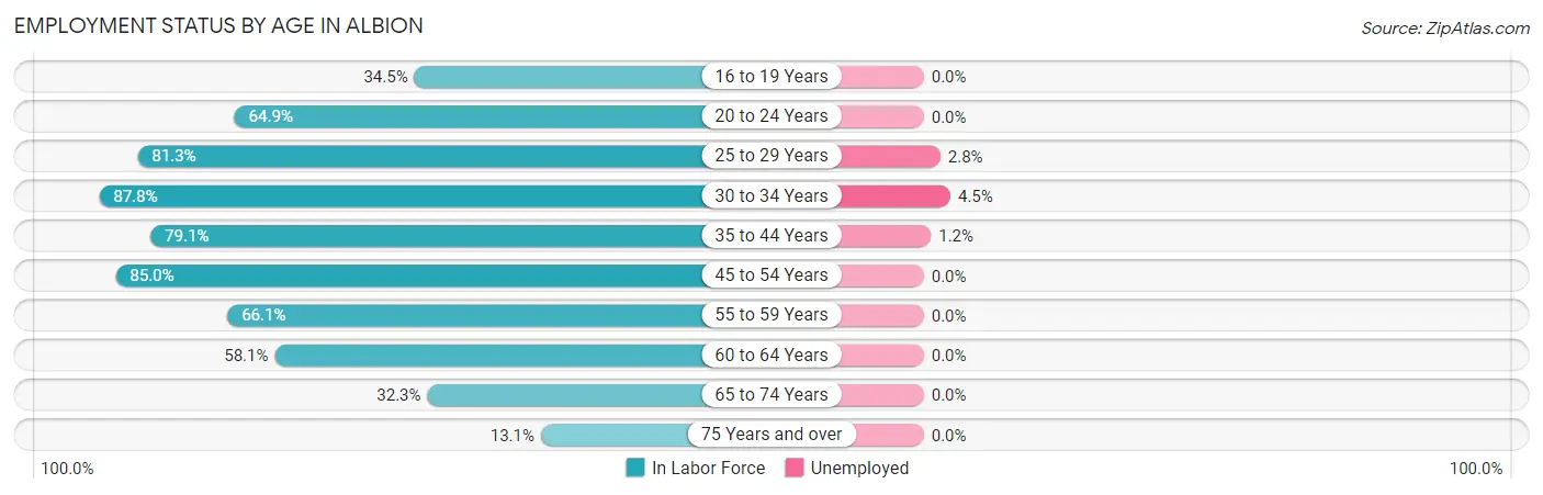 Employment Status by Age in Albion