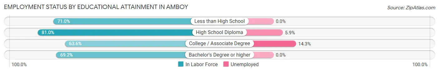 Employment Status by Educational Attainment in Amboy