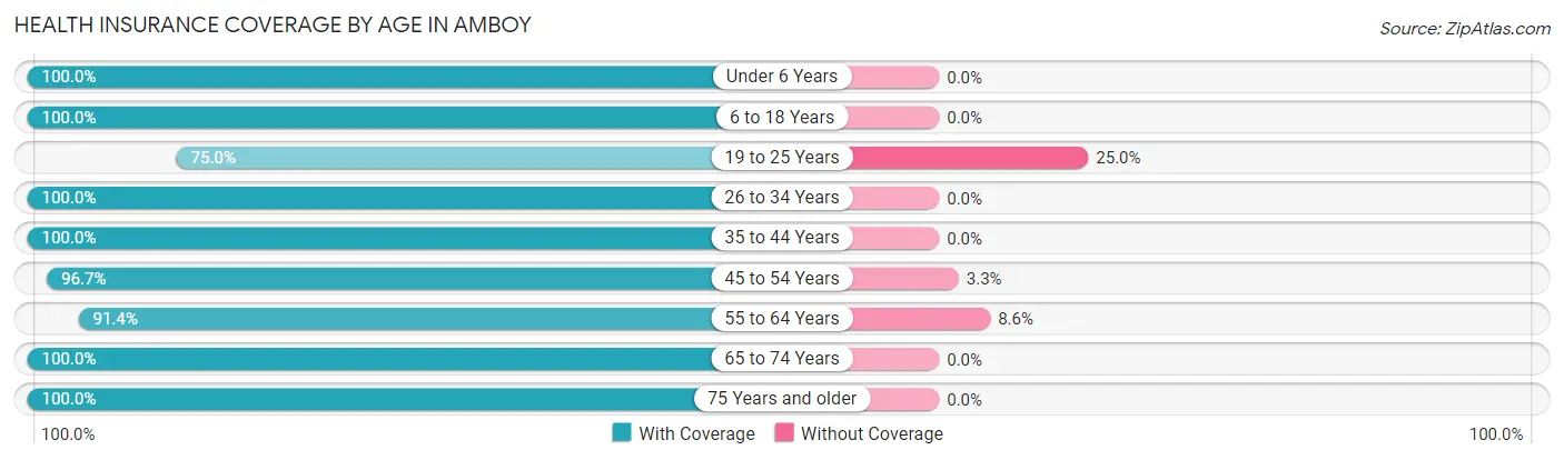 Health Insurance Coverage by Age in Amboy