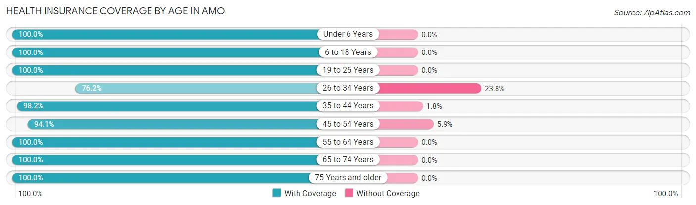 Health Insurance Coverage by Age in Amo