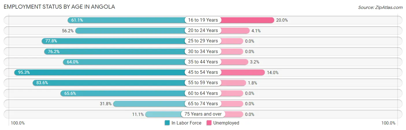 Employment Status by Age in Angola