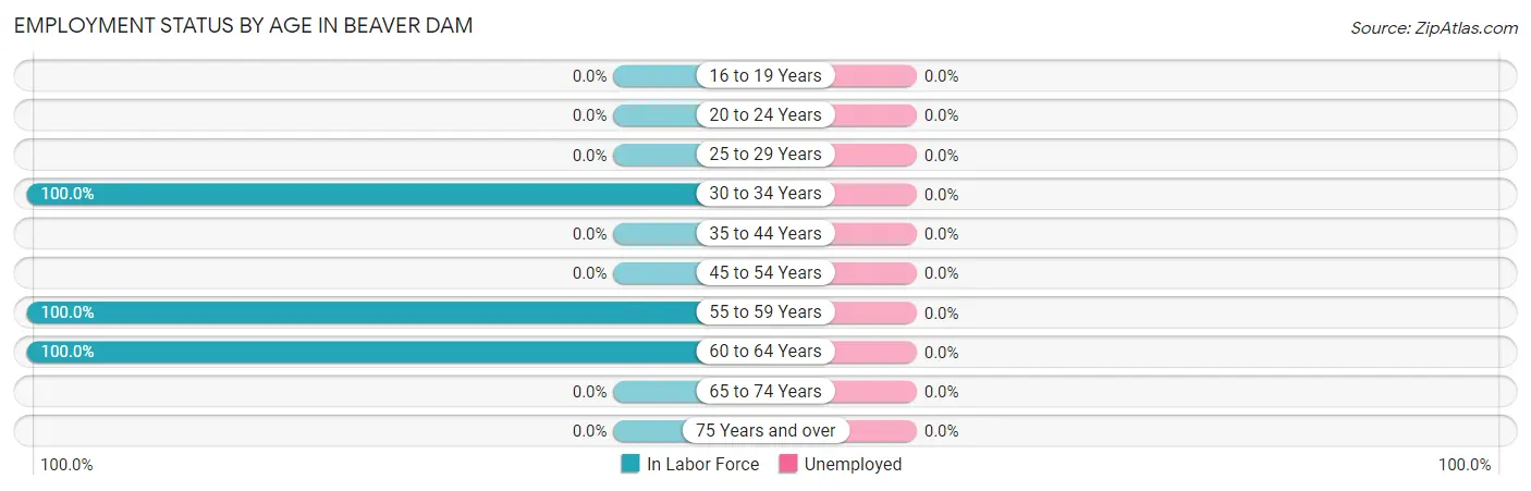 Employment Status by Age in Beaver Dam
