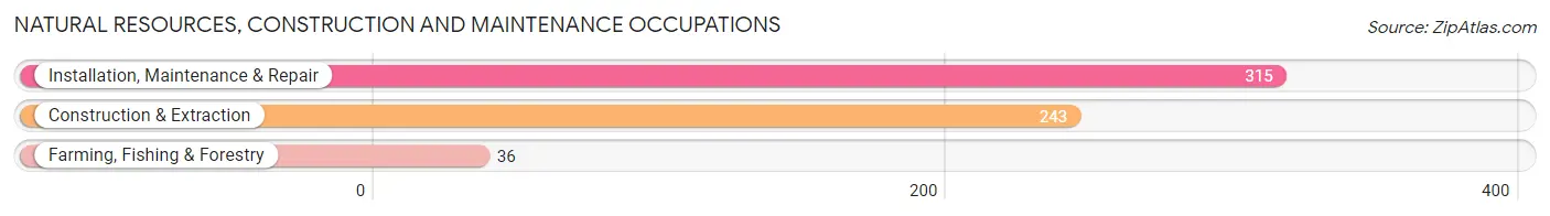 Natural Resources, Construction and Maintenance Occupations in Bedford