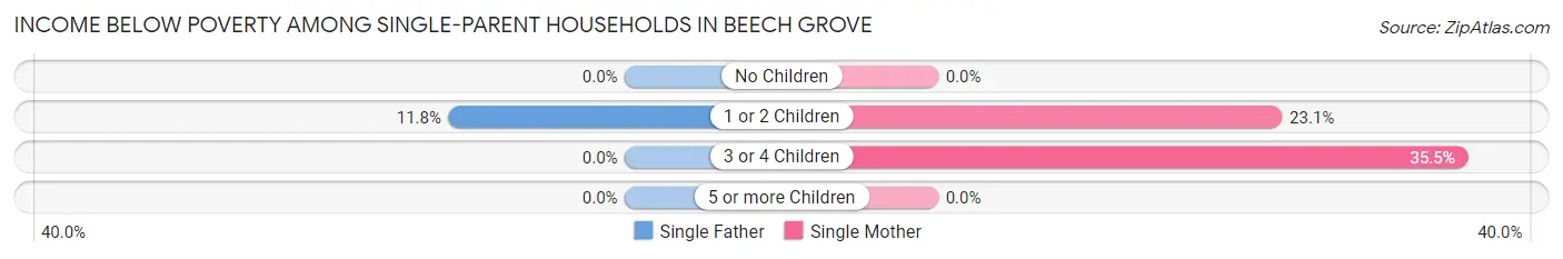 Income Below Poverty Among Single-Parent Households in Beech Grove