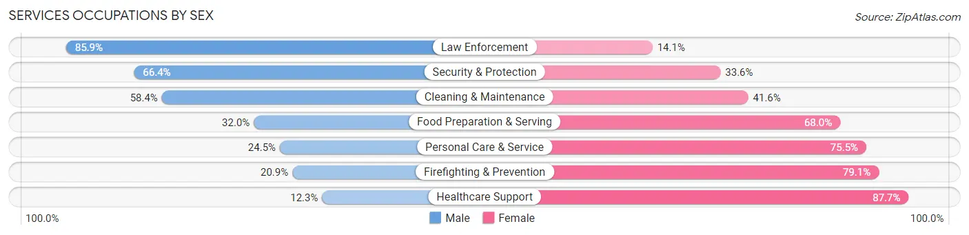 Services Occupations by Sex in Beech Grove