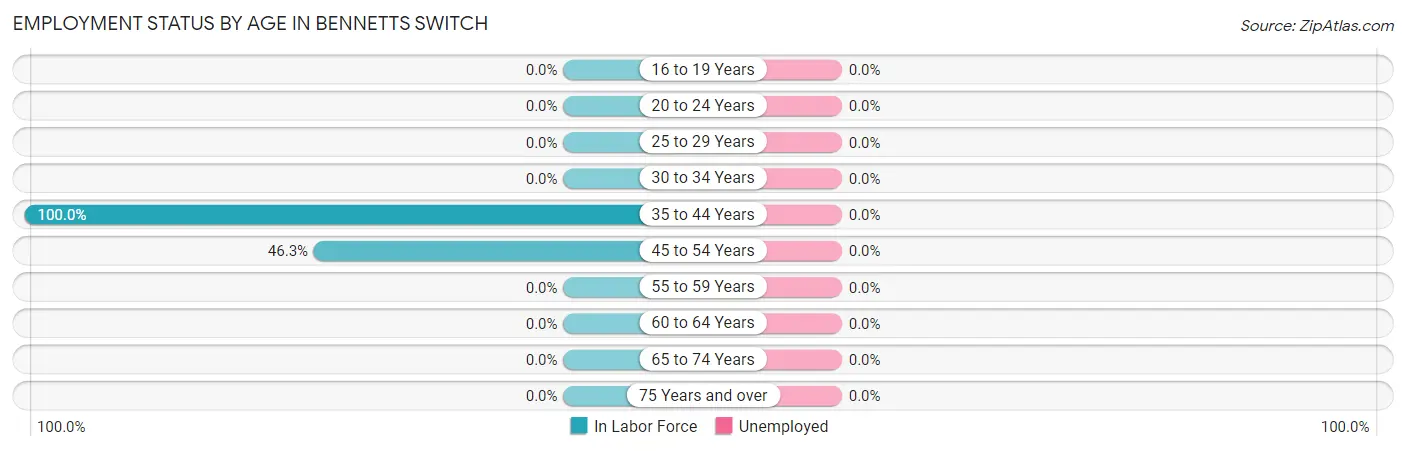 Employment Status by Age in Bennetts Switch
