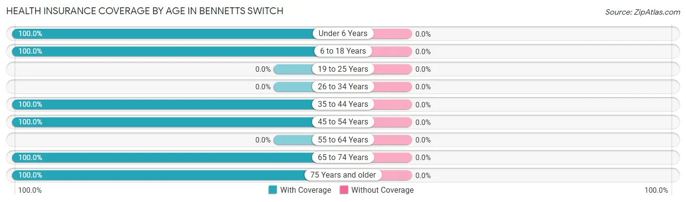 Health Insurance Coverage by Age in Bennetts Switch