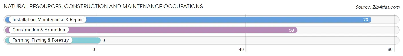 Natural Resources, Construction and Maintenance Occupations in Berne