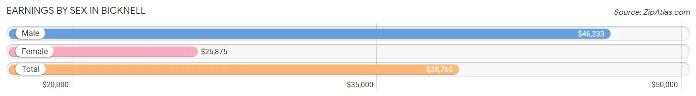 Earnings by Sex in Bicknell