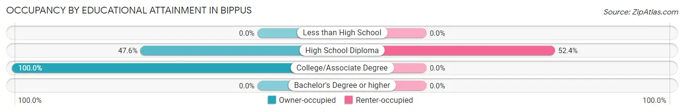 Occupancy by Educational Attainment in Bippus