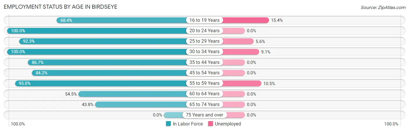 Employment Status by Age in Birdseye