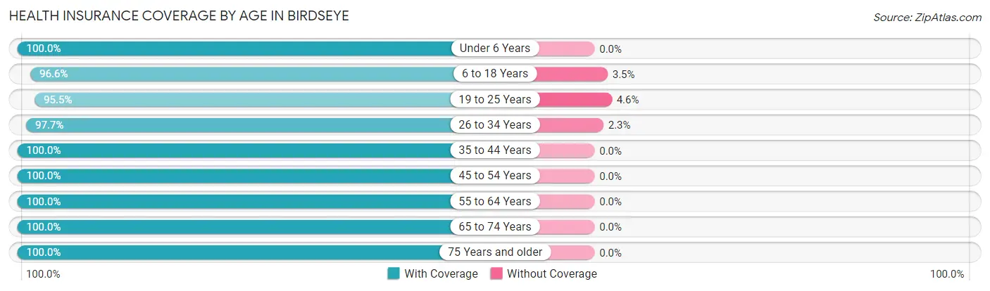 Health Insurance Coverage by Age in Birdseye