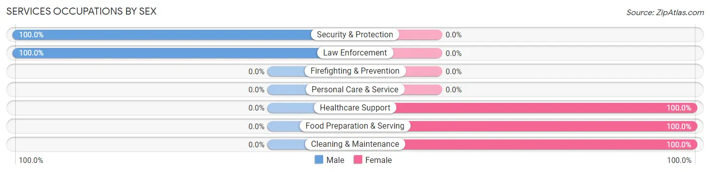 Services Occupations by Sex in Bloomingdale