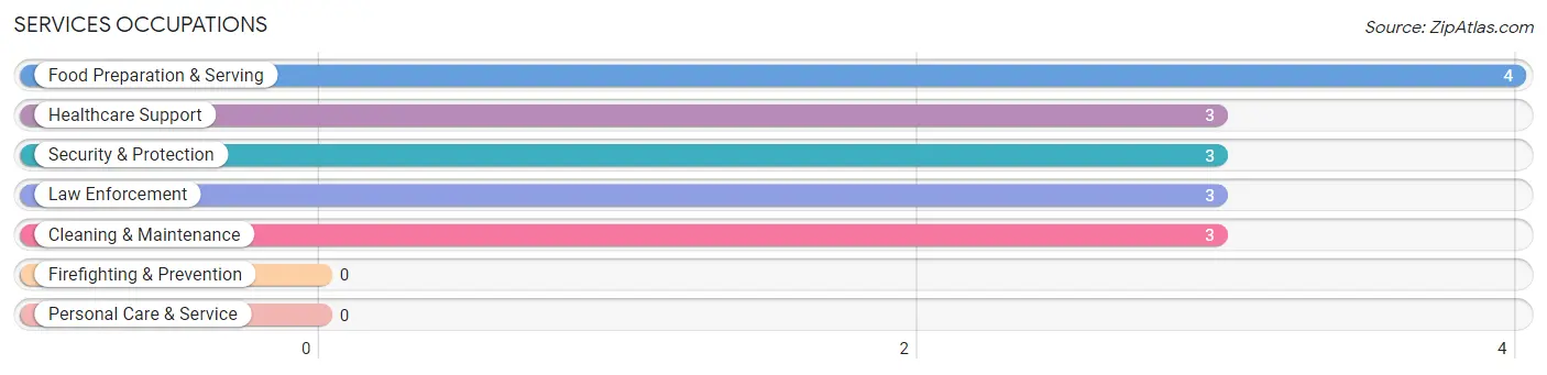 Services Occupations in Bloomingdale