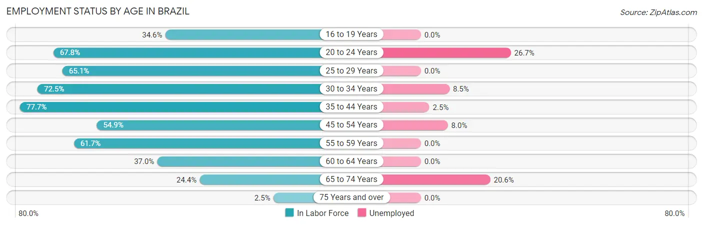 Employment Status by Age in Brazil