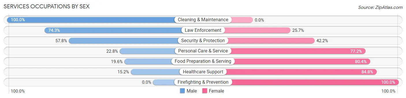 Services Occupations by Sex in Brazil