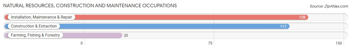 Natural Resources, Construction and Maintenance Occupations in Bright