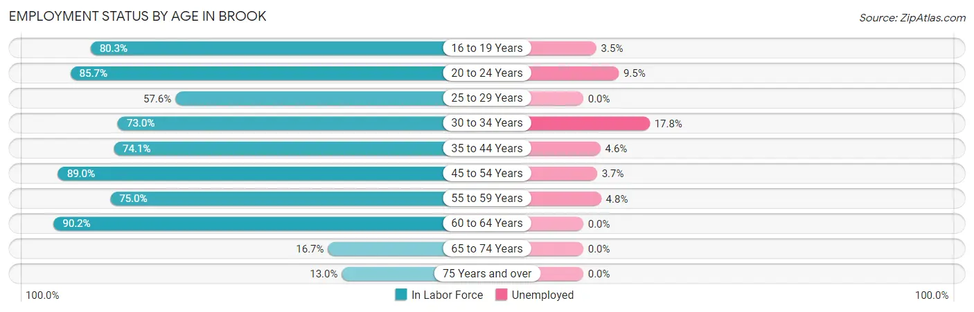 Employment Status by Age in Brook