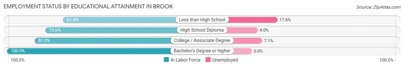 Employment Status by Educational Attainment in Brook