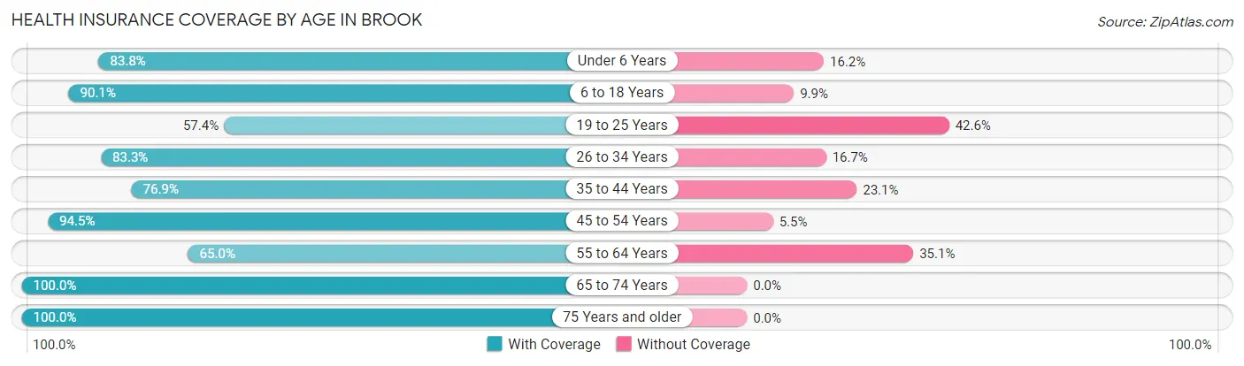 Health Insurance Coverage by Age in Brook