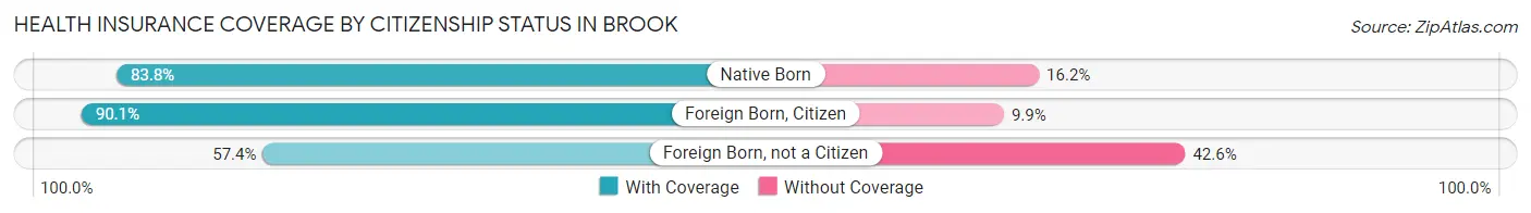 Health Insurance Coverage by Citizenship Status in Brook