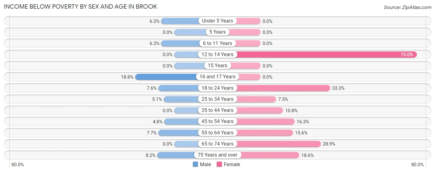 Income Below Poverty by Sex and Age in Brook