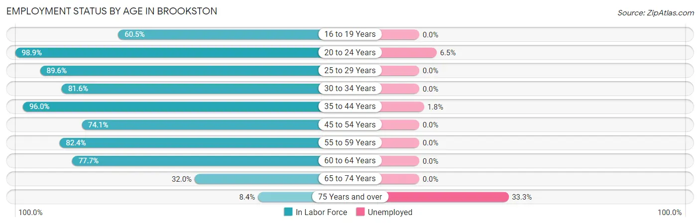 Employment Status by Age in Brookston