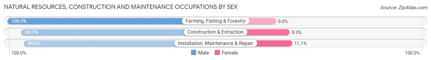Natural Resources, Construction and Maintenance Occupations by Sex in Brownsburg