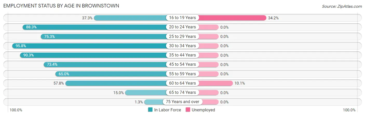 Employment Status by Age in Brownstown