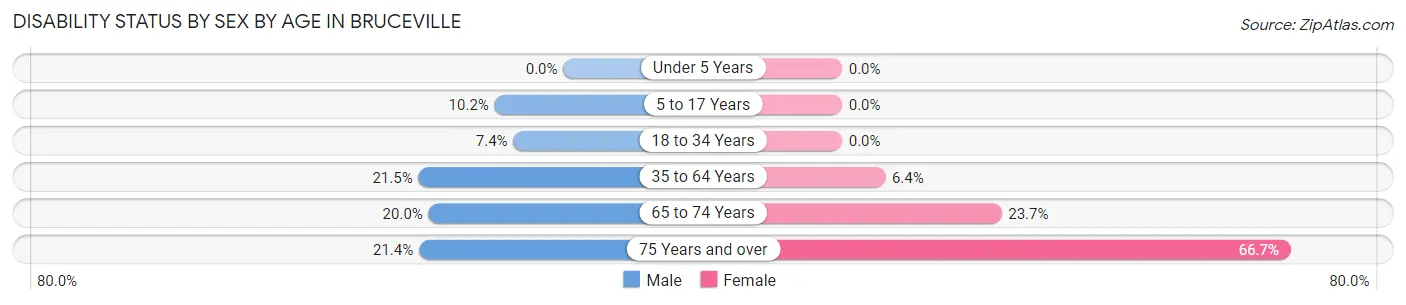 Disability Status by Sex by Age in Bruceville