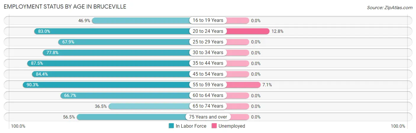 Employment Status by Age in Bruceville