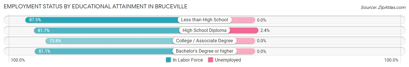 Employment Status by Educational Attainment in Bruceville