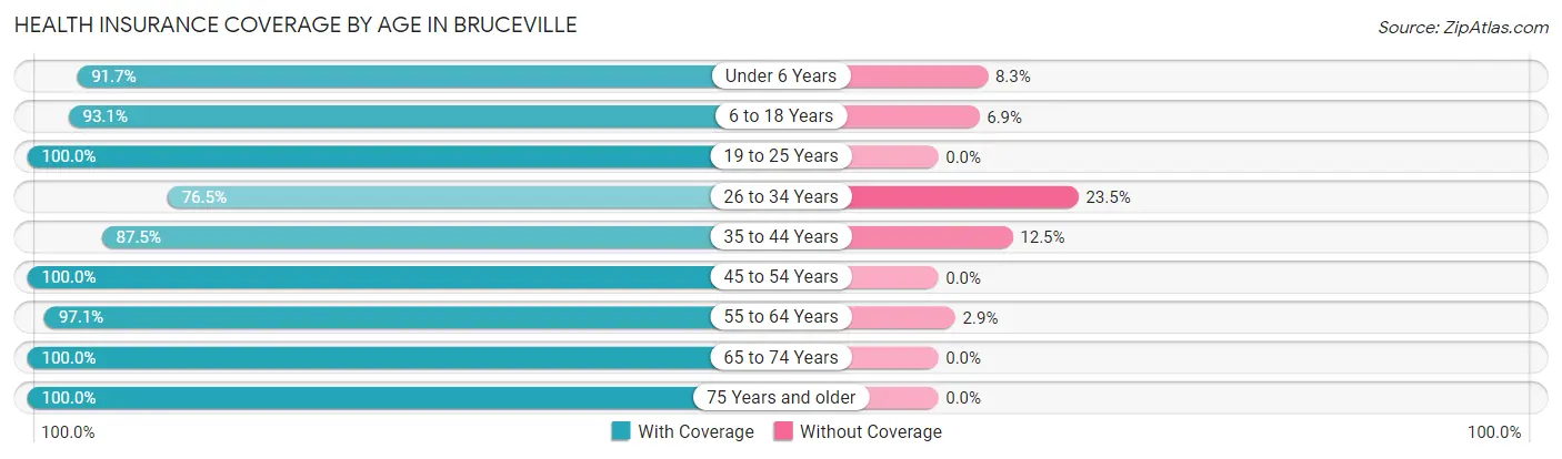 Health Insurance Coverage by Age in Bruceville