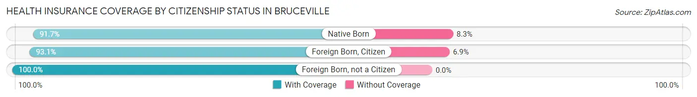 Health Insurance Coverage by Citizenship Status in Bruceville