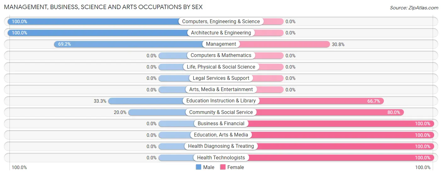 Management, Business, Science and Arts Occupations by Sex in Bruceville
