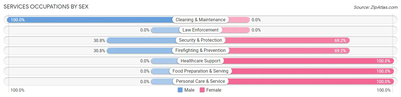 Services Occupations by Sex in Bruceville