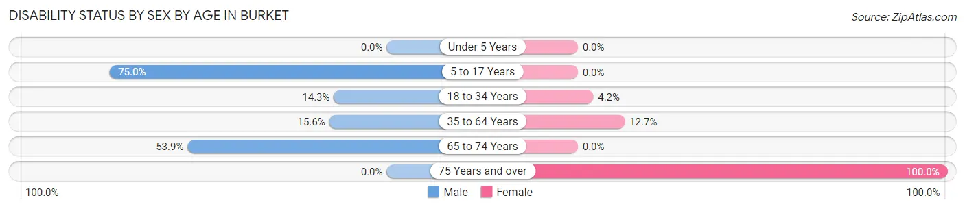 Disability Status by Sex by Age in Burket