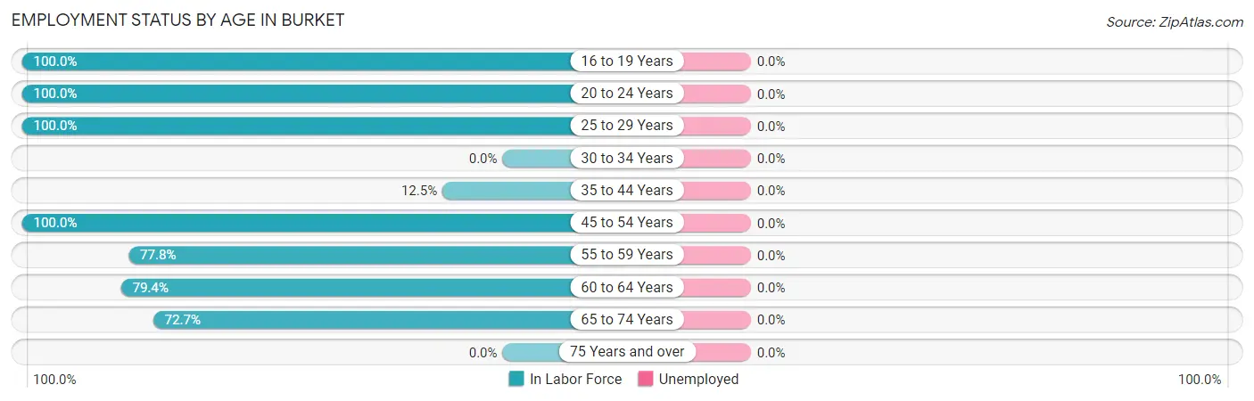 Employment Status by Age in Burket