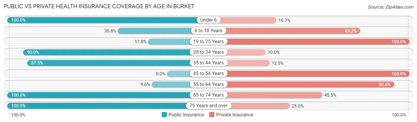 Public vs Private Health Insurance Coverage by Age in Burket