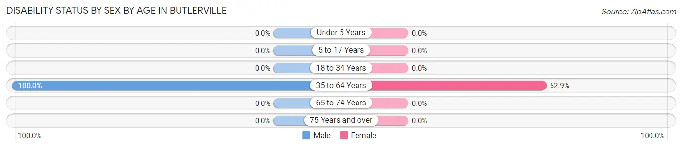 Disability Status by Sex by Age in Butlerville