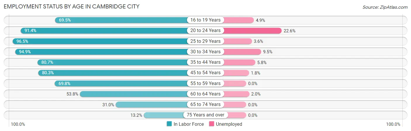 Employment Status by Age in Cambridge City